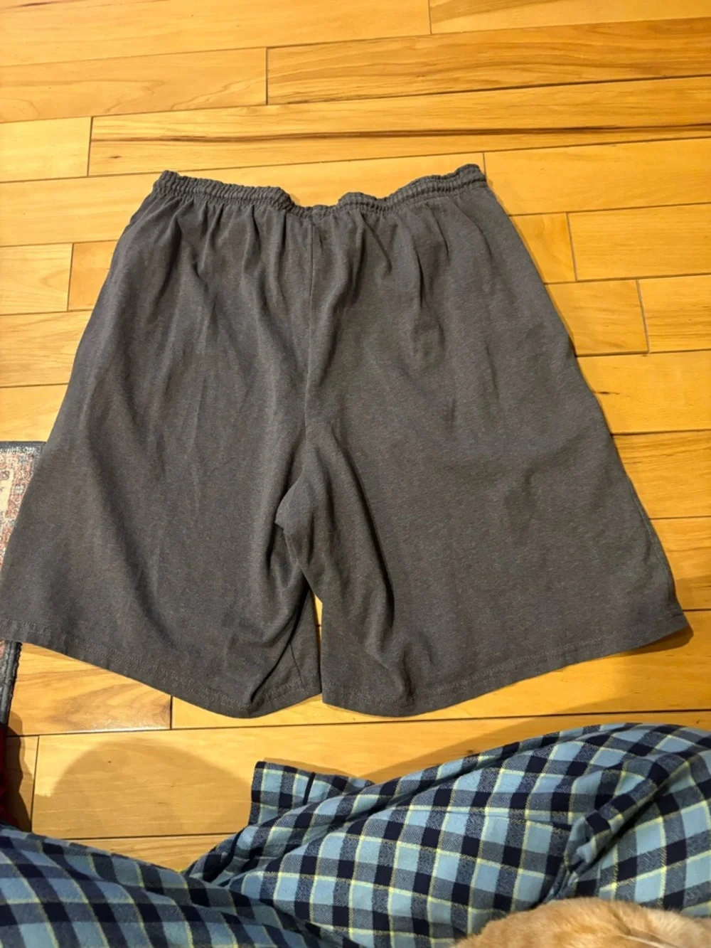 Shorts - Picture 2 of 5